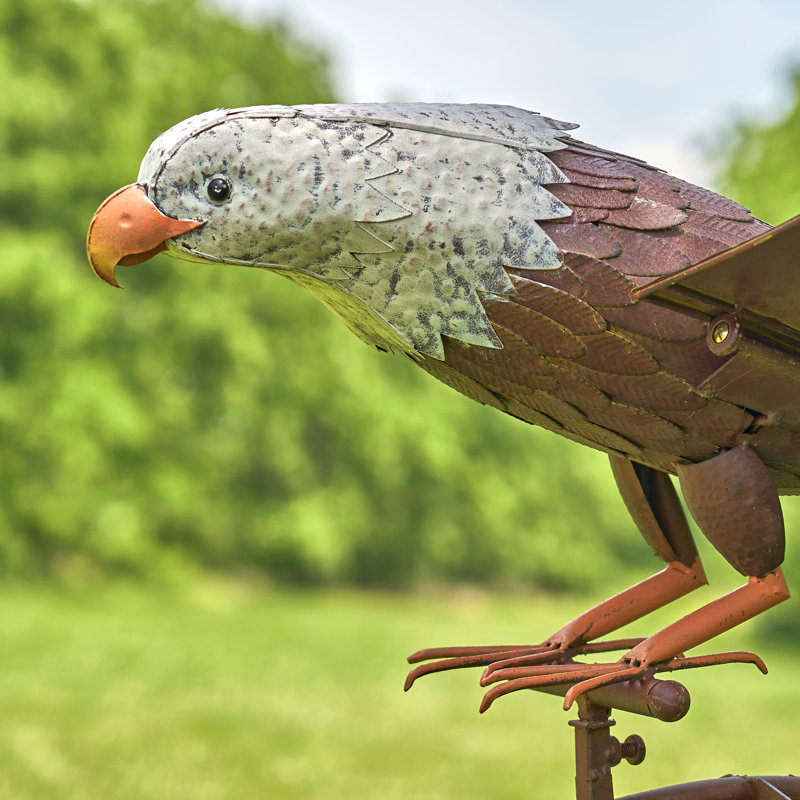 ZaerLtdInternational Flying Eagle Garden Stake Wayfair